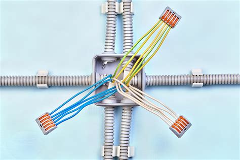 junction box wire connection|junction box wiring identification.